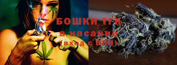 дживик Арсеньев