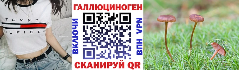 хочу наркоту  Рыльск  Галлюциногенные грибы Psilocybine cubensis 
